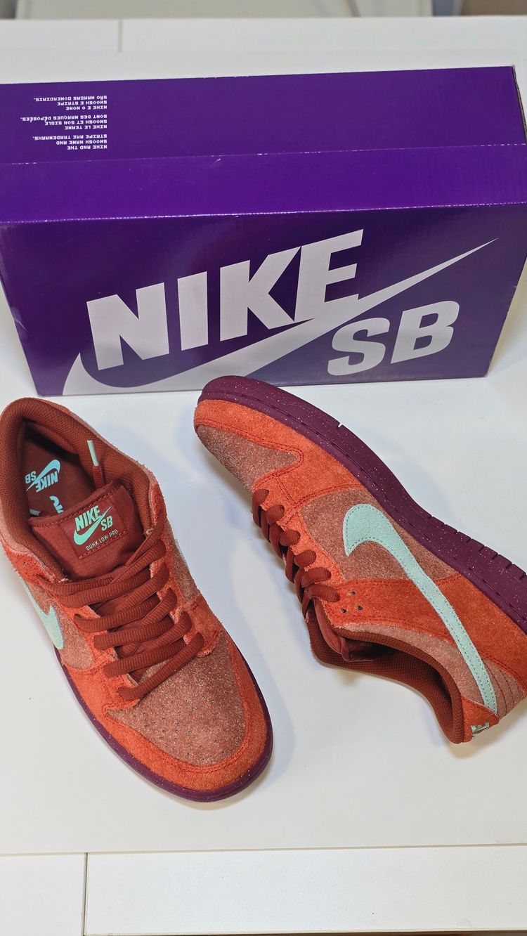Nike Nike Sb Sneakers product image
